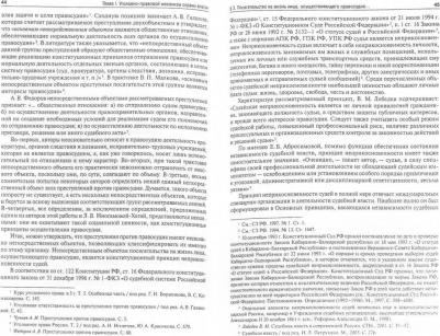 Грачева Юлия Викторовна, Чучаев Александр Иванович, Агузаров Тамерлан Кимович. Охрана власти в уголовном праве России – фото 1