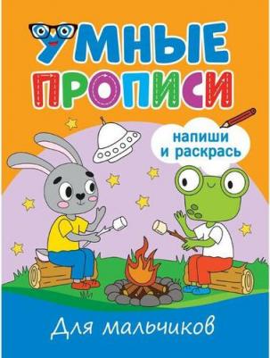 Грецкая Анастасия. Умные прописи. Для мальчиков – фото 1