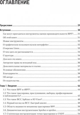 Грегг Брендан. BPF. Профессиональная оценка производительности – фото 1