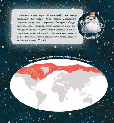 Григорьева Женя. Чудо в Новый год. Как Белый Мишка нашёл друзей. Полезные сказки – фото 7
