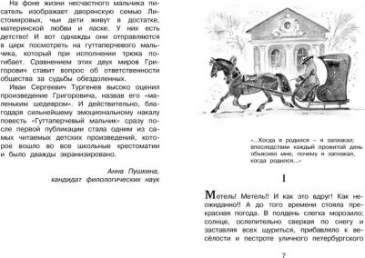 Григорович Дмитрий Васильевич. Гуттаперчевый мальчик 9785389172784 – фото 7