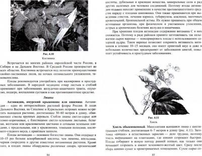 Грязькин Анатолий Васильевич. Недревесная продукция леса. Учебник – фото 1