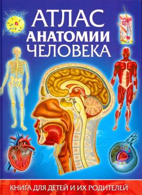 Гуиди Винченцо. Атлас анатомии человека. для детей и их родителей – фото 1