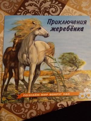 Гурина Ирина Валерьевна. Приключения жеребенка – фото 1