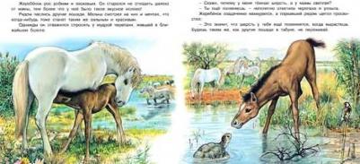 Гурина Ирина Валерьевна. Приключения жеребенка – фото 2