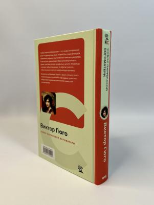 Гюго Виктор. Собор Парижской Богоматери 9785041704490 – фото 2
