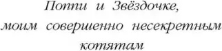 Холли Вебб. Котенок Кэтти, или Секрет в шкафу – фото 9