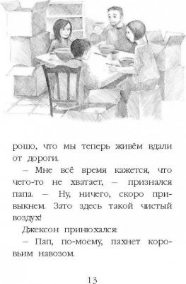 Холли Вебб. Котёнок Пират, или Ловкий коготь – фото 4