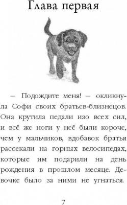 Холли Вебб. Щенок Кнопочка, или Умная малышка – фото 5