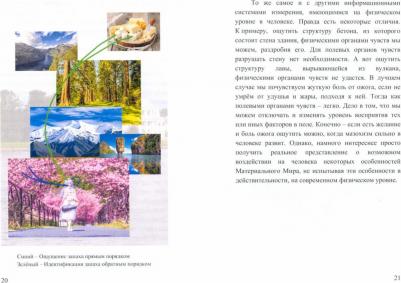 Хоменко Константин Валерьевич. Структура человека, общества и миров. Направления их развития – фото 2
