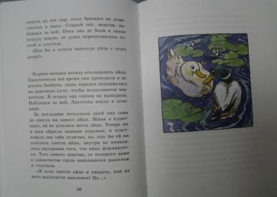 Хван Сонми. Курочка, которая мечтала летать – фото 3