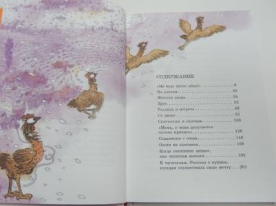 Хван Сонми. Курочка, которая мечтала летать – фото 4