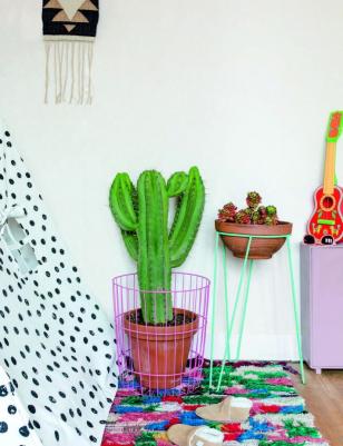 Игорь Йосифович, Джудит де Граф. Urban Jungle. Как создать уютный интерьер с помощью растений – фото 9