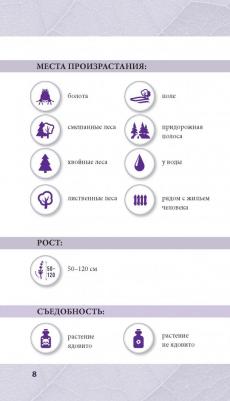 Ильина Татьяна Александровна. Лечебные травы. Иллюстрированный справочник-определитель – фото 3