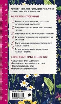 Ильина Татьяна Александровна. Лечебные травы. Иллюстрированный справочник-определитель – фото 5