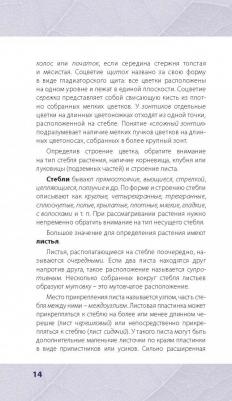 Ильина Татьяна Александровна. Лечебные травы. Иллюстрированный справочник-определитель – фото 6
