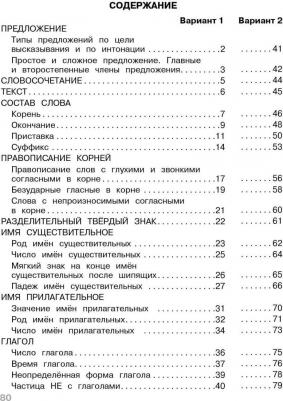Ирина Гуркова. Тесты. 3 класс. Русский язык. Где прячутся ошибки? – фото 4