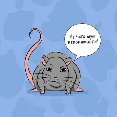 Иришка МиМи. Чего окрысилась?! Как понимать своего питомца – фото 1