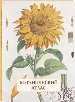 Иванов Сергей Иванович. Ботанический атлас. Н.П. Животовский – фото 1