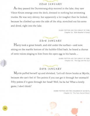 J. K. Rowling, Illustrated by Jim Kay. Harry Potter - A Magical Year : The Illustrations of Jim Kay – фото 1