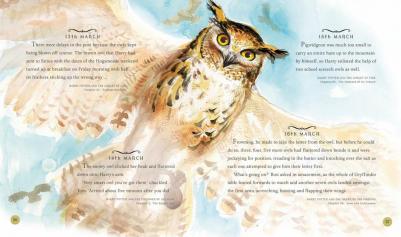 J. K. Rowling, Illustrated by Jim Kay. Harry Potter - A Magical Year : The Illustrations of Jim Kay – фото 5