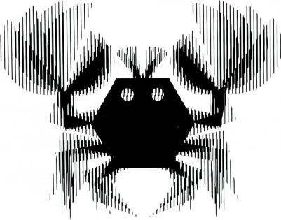 Кагаров Эркен. Синематографика – фото 1