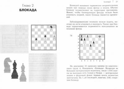 Калиниченко Николай Михайлович. Курс шахматной стратегии для начинающих – фото 1