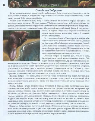 Калугина Леся. Энциклопедия. Животные России – фото 2