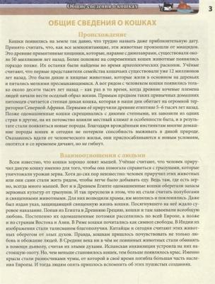 Калугина Леся. Хочу все знать. Кошки – фото 4