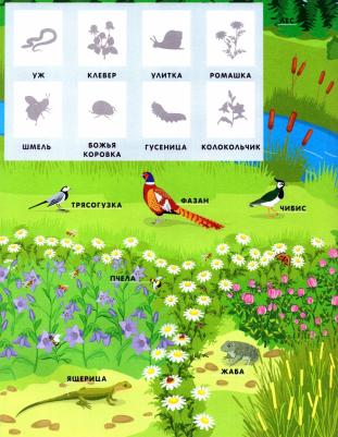 Каспарова Юлия Вадимовна. За городом. Времена года. Словарик малыша с наклейками – фото 1