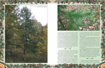 Кайгородов Дмитрий Никифорович. Беседы о русском лесе – фото 9