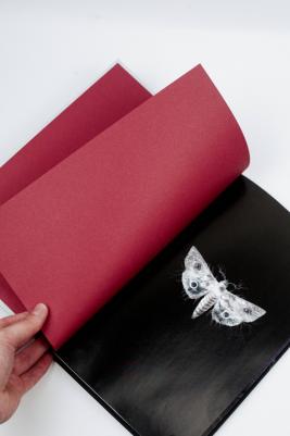 Кинг Стивен, Кинг Оуэн. Спящие красавицы. Том 2 – фото 2