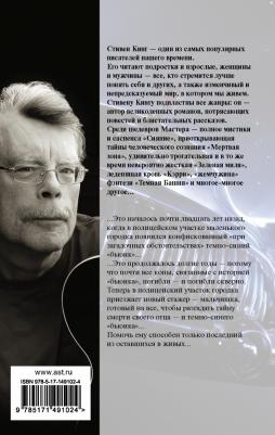 Кинг Стивен. Почти как "бьюик" – фото 2