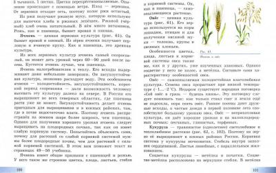 Клепинина Зоя Александровна. Биология. Растения. Бактерии. Грибы. 7 класс. Учебник. Адаптированные программы – фото 1