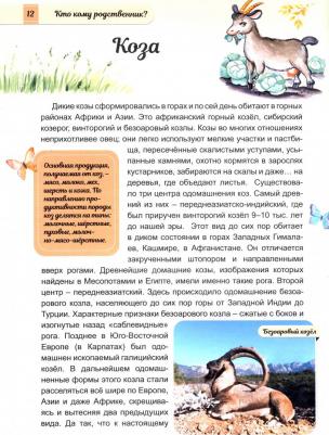 Климов Василий. Животные от диких к домашним – фото 1