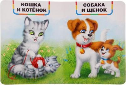 Книги картонные набор "Детские стихи", 6 шт., по 10 стр – фото 7