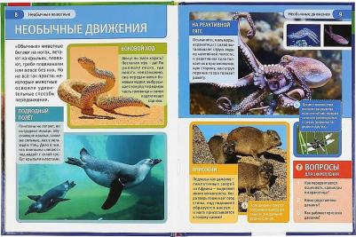 Книжка А4 энциклопедия с развивающими заданиями твердый переплет Необычные животные УМка – фото 1