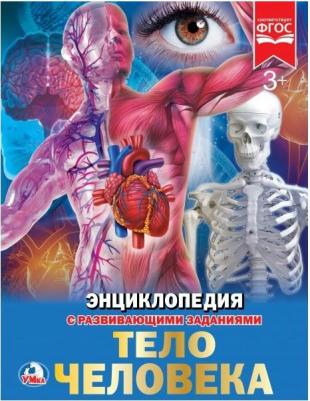 Книжка А4 энциклопедия с развивающими заданиями твердый переплет Тело человека УМка – фото 6