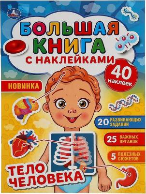 Книжка А4 энциклопедия с развивающими заданиями твердый переплет Тело человека УМка – фото 7