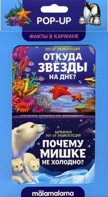 Книжка-панорамка. Факты в кармане. Откуда звезды на дне и почему мишке не холодно? – фото 4