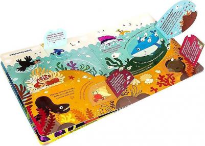 Книжка со створками. Что там под водой? – фото 1