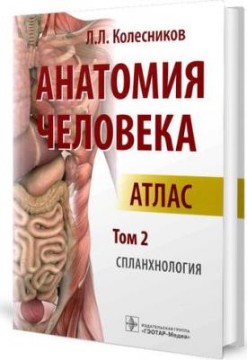 Колесников Л.Л. Анатомия человека. Атлас в 3-х томах. Том 2. Спланхнология – фото 14