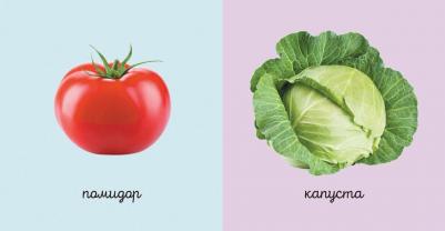 Комплект из 6 супер-прочных мини-книжек "Первые слова для самых маленьких" – фото 3