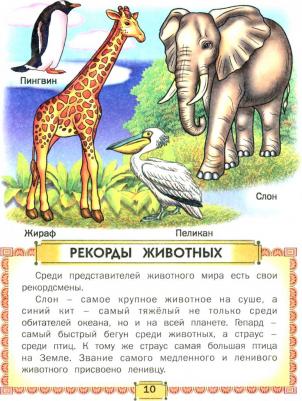 Комзалова Татьяна Александровна. Первая знаний – фото 1