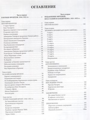Конев Владимир Николаевич, Зиновьев Николай Николаевич. Красные авиаторы на фронтах Гражданской войны. 1918-1922 – фото 2