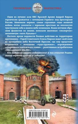 Корчевский Юрий Григорьевич. Воздухоплаватель. Во вражеском небе – фото 1