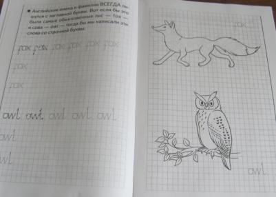 Кордзая Анастасия Евгеньевна. Занимательные прописи. Часть 1 – фото 1