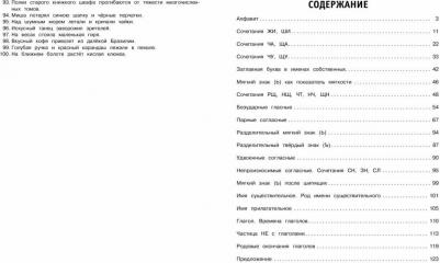 Королёв Владимир Иванович. 30000 тренировочных заданий по русскому языку. 1 класс – фото 4