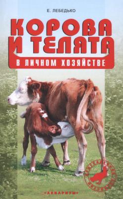 Корова и телята в личном хозяйстве. Выбор породы, содержание, разведение и профилактика заболеваний
