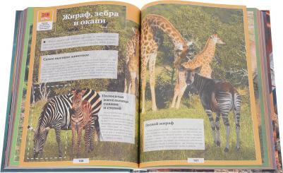 Кошевар Дмитрий Васильевич, Ликсо Вячеслав Владимирович, Папуниди Елена Алексеевна. Гигантская детская энциклопедия с дополненной реальностью – фото 4